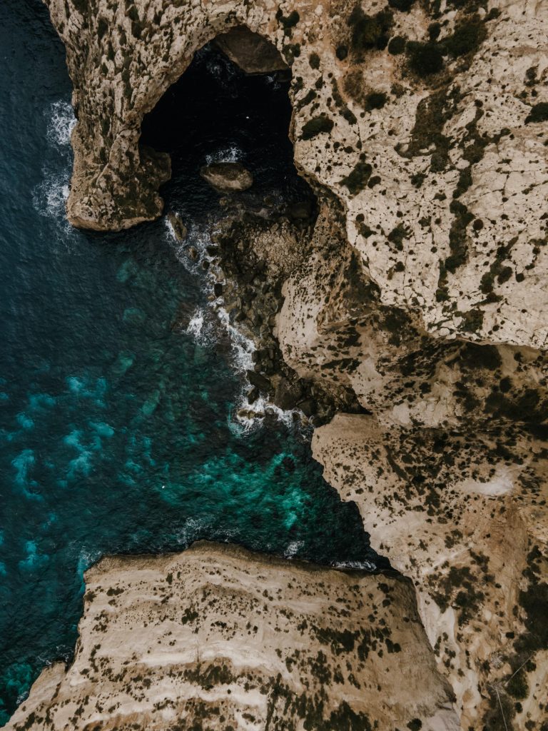 pexels-polina-kovaleva